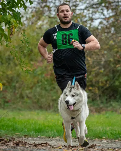 Běžec s huskym na canicrossovém závodě v lese